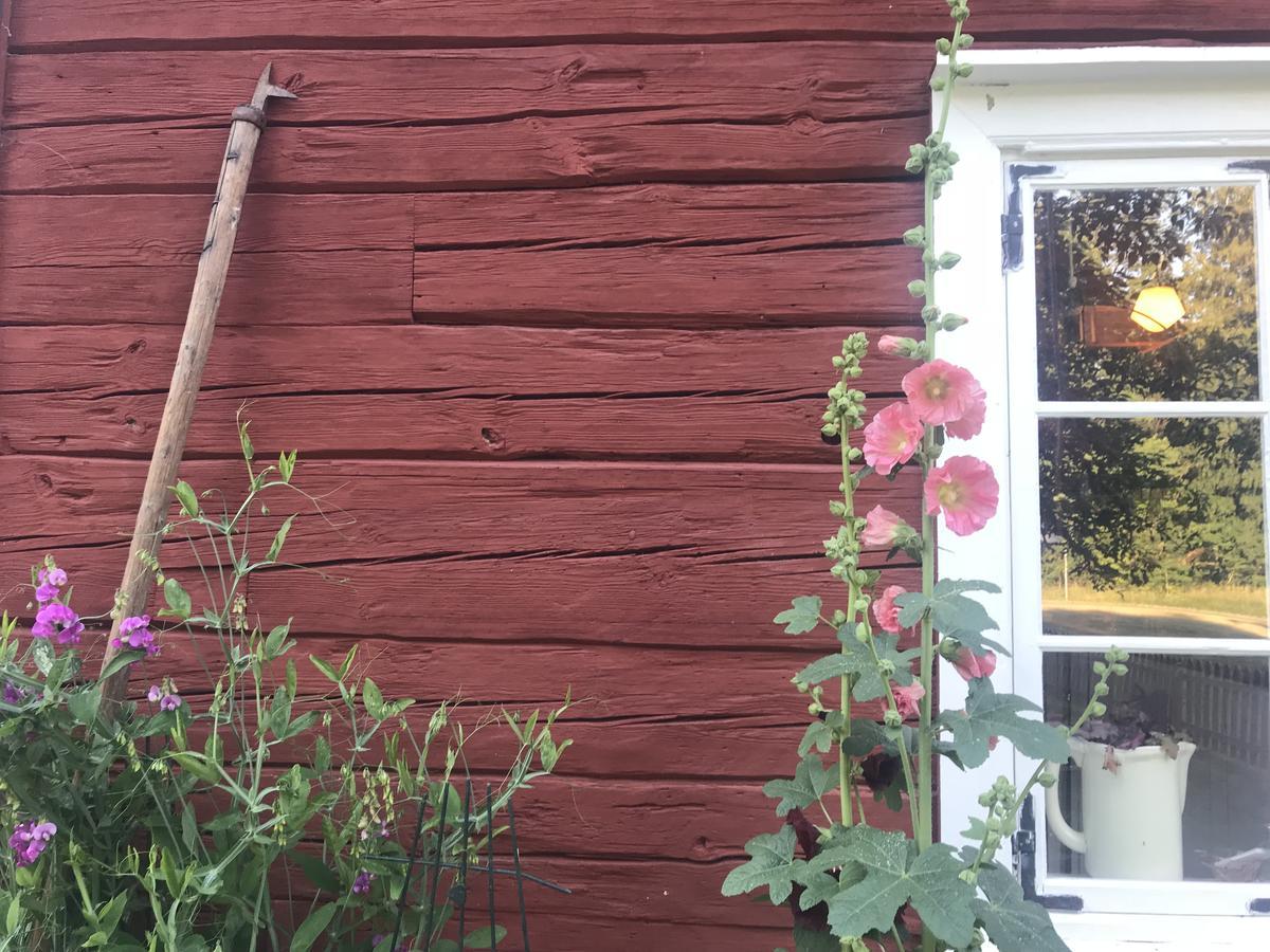 Visingso Pensionat Exteriér fotografie
